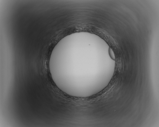 X0000102380770200808010913