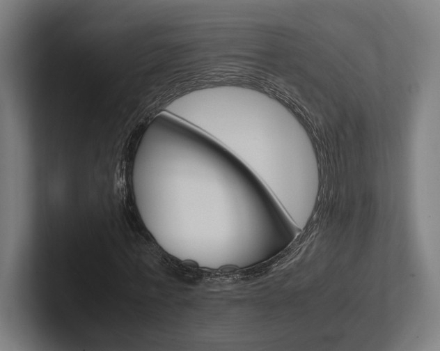 X0000102380771200808010913