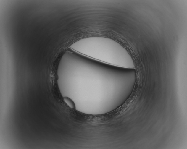 X0000102380772200808010913