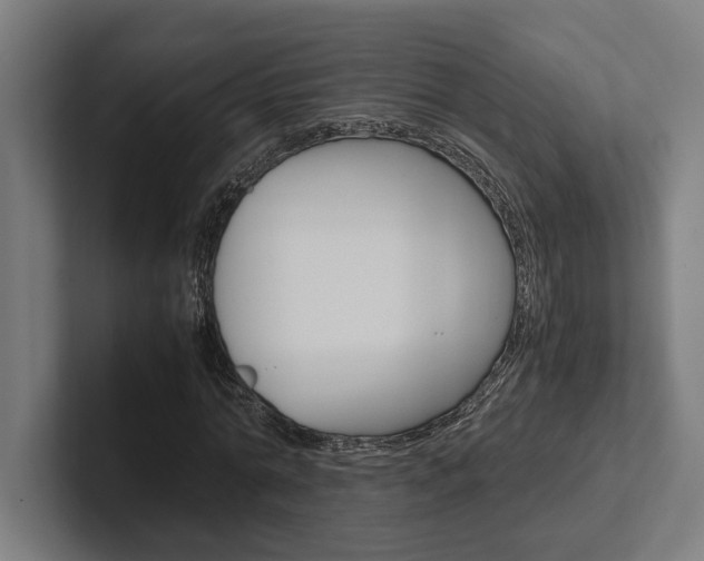X0000102380774200808010913