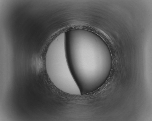 X0000102380775200808010913