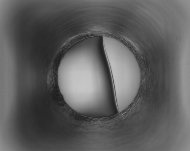 X0000102380776200808010913