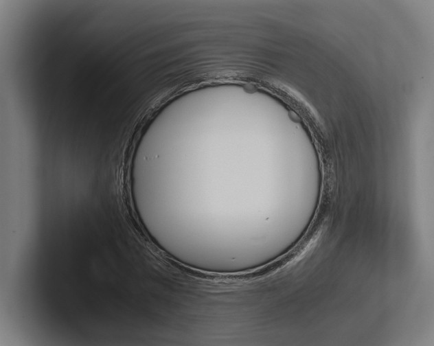 X0000102380777200808010913