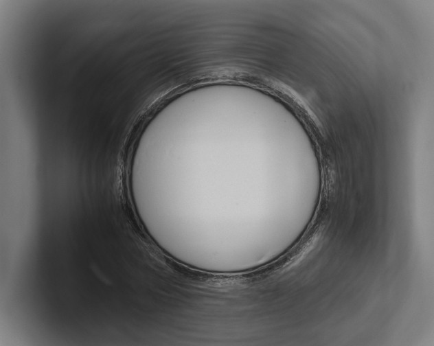 X0000102380778200808010913