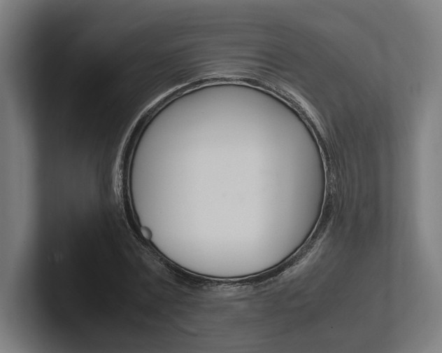 X0000102380779200808010913