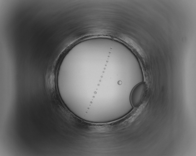 X0000102380781200808010913