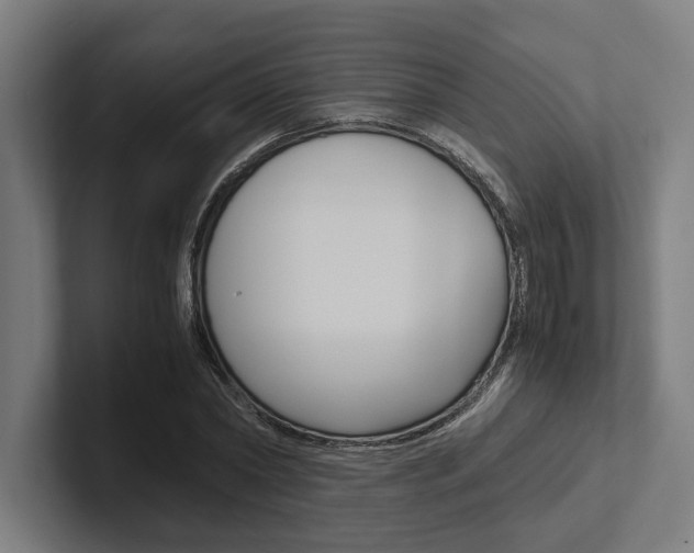 X0000102380782200808010913
