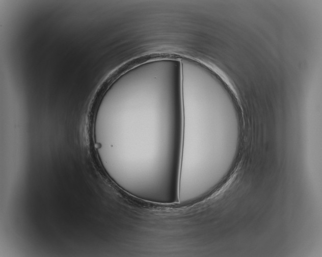 X0000102380783200808010913