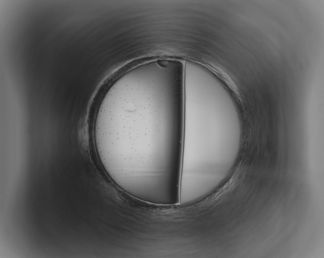 X0000102380784200808010913