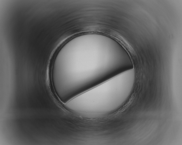 X0000102380788200808010913