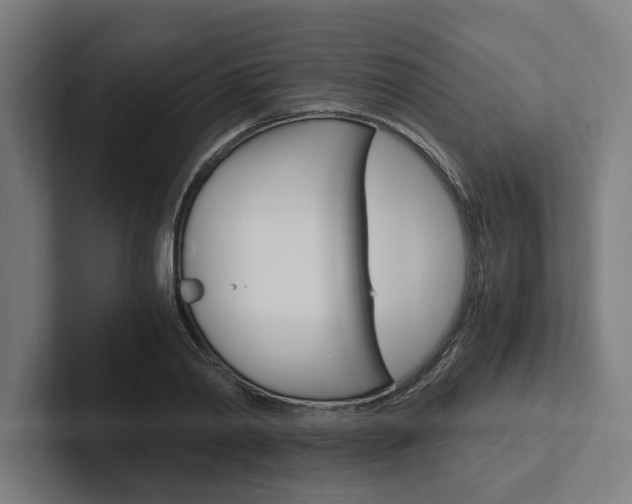 X0000102380790200808010913