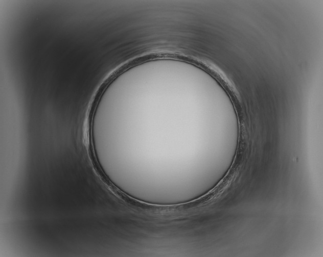 X0000102380791200808010913