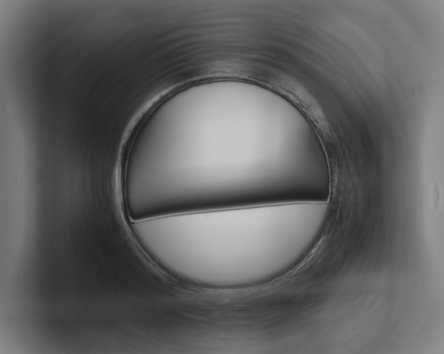 X0000102380796200808010913