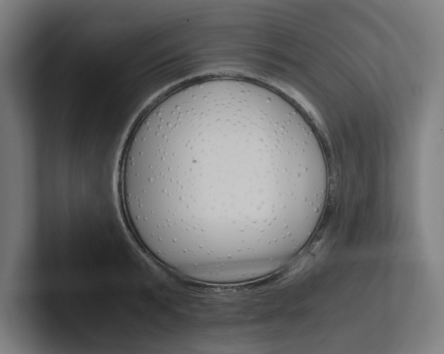 X0000102380799200808010913