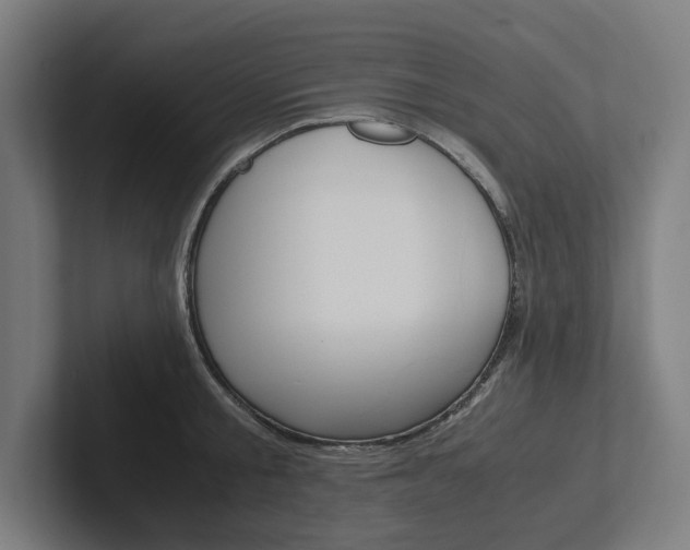 X0000102380805200808010913