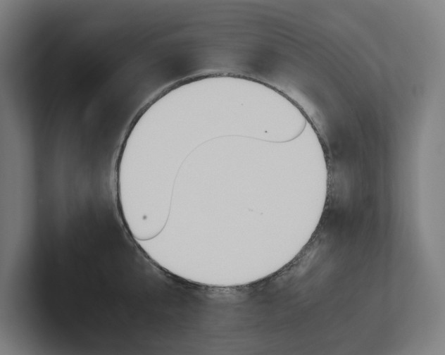 X0000102380807200808010913