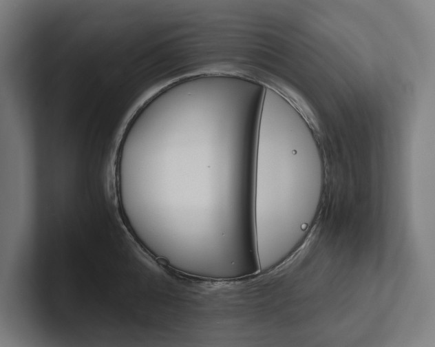 X0000102380808200808010913
