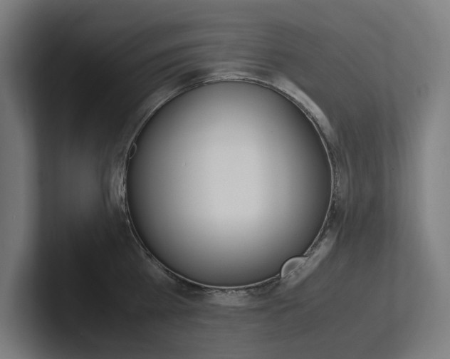 X0000102380809200808010913