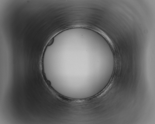 X0000102380810200808010913