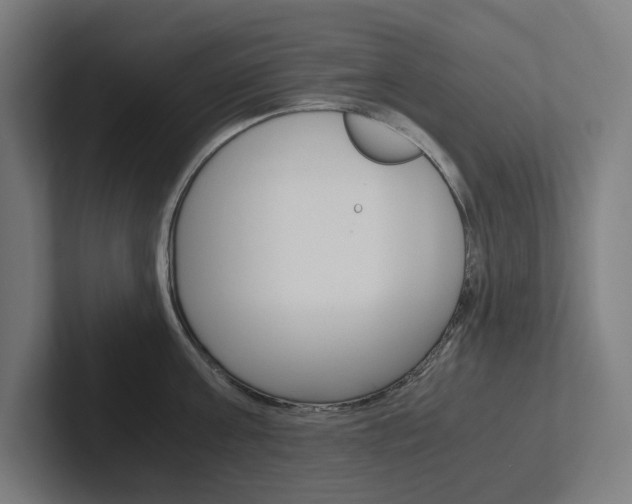 X0000102380811200808010913