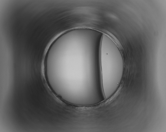 X0000102380812200808010913
