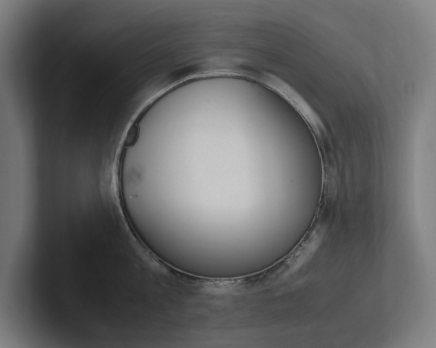 X0000102380813200808010913