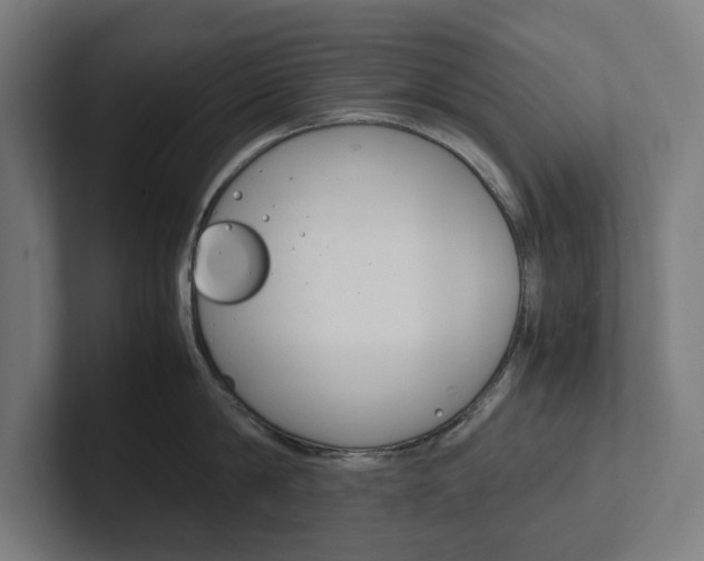 X0000102380814200808010913