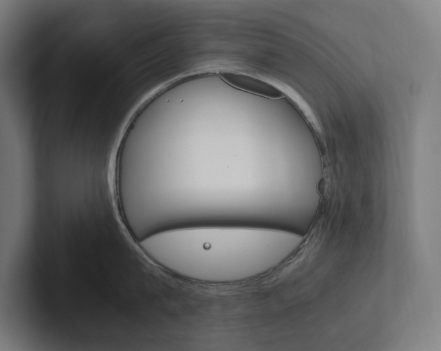 X0000102380815200808010913