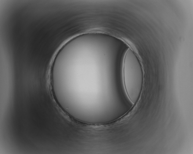 X0000102380816200808010913