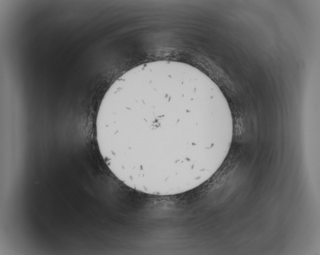 X0000102380820200808010912