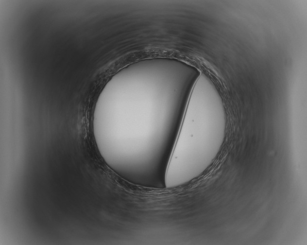 X0000102380821200808010912