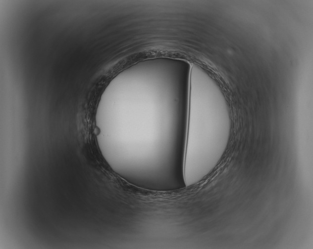 X0000102380822200808010912