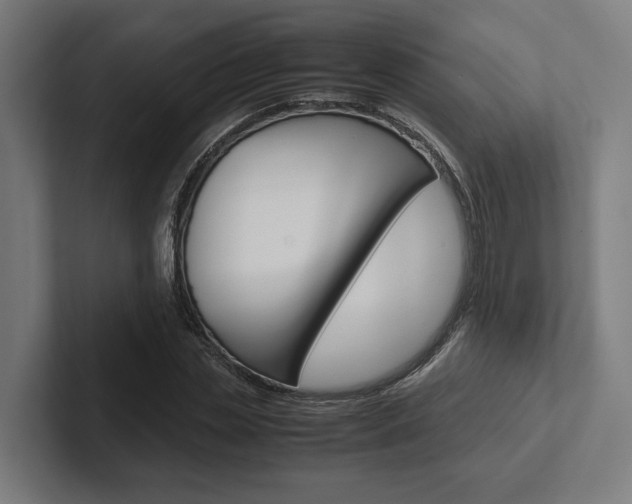 X0000102380829200808010912
