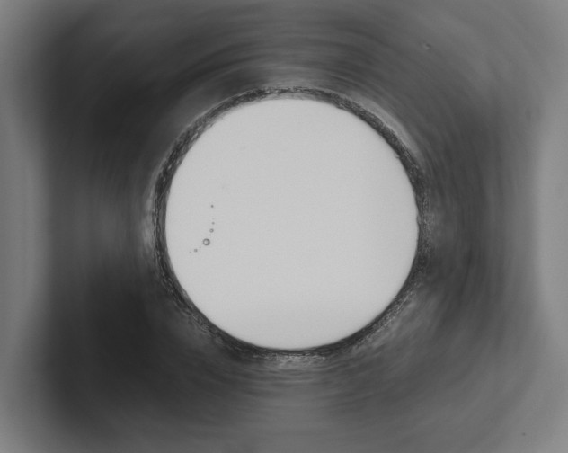 X0000102380832200808010912