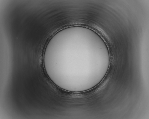 X0000102380833200808010912