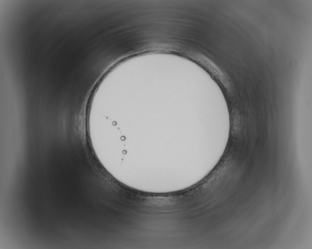 X0000102380836200808010912