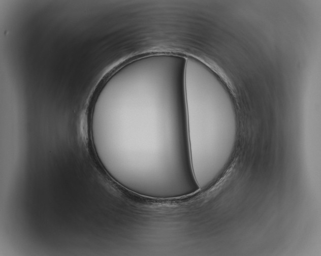X0000102380838200808010913