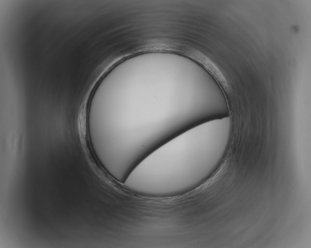 X0000102380844200808010913