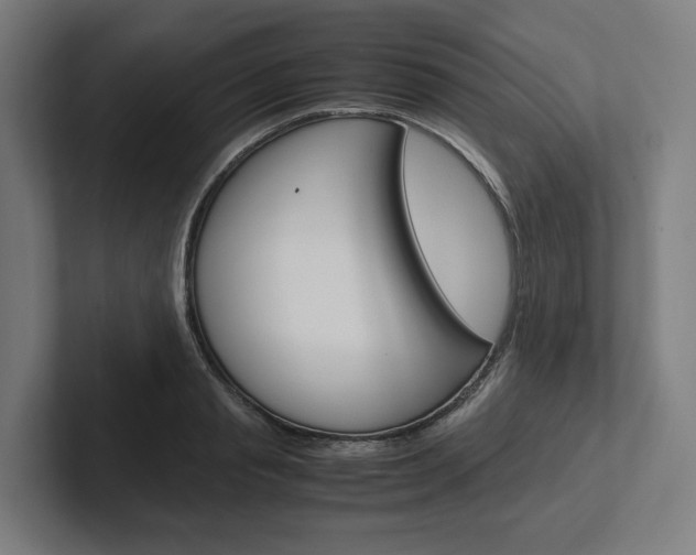 X0000102380845200808010913
