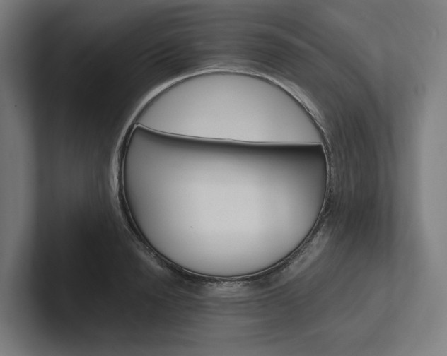 X0000102380846200808010913