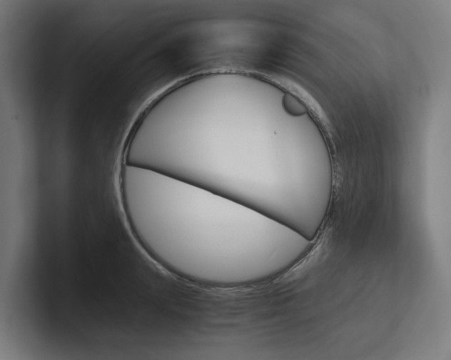 X0000102380847200808010913