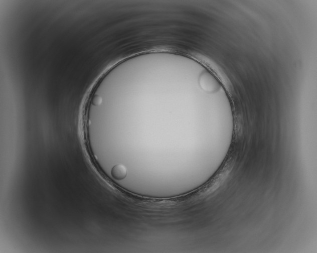 X0000102380851200808010913