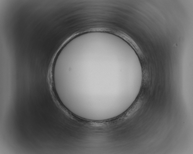 X0000102380852200808010913