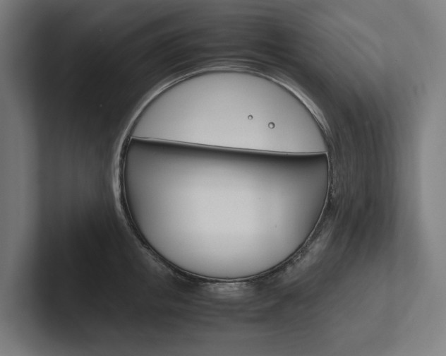 X0000102380853200808010913