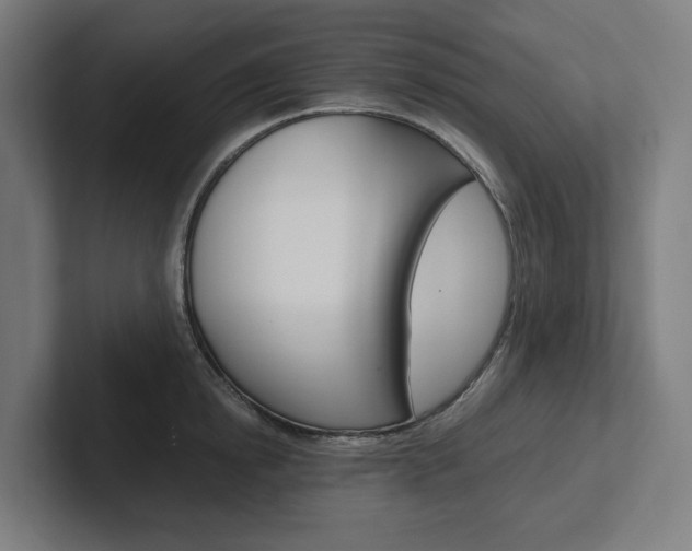 X0000102380854200808010913