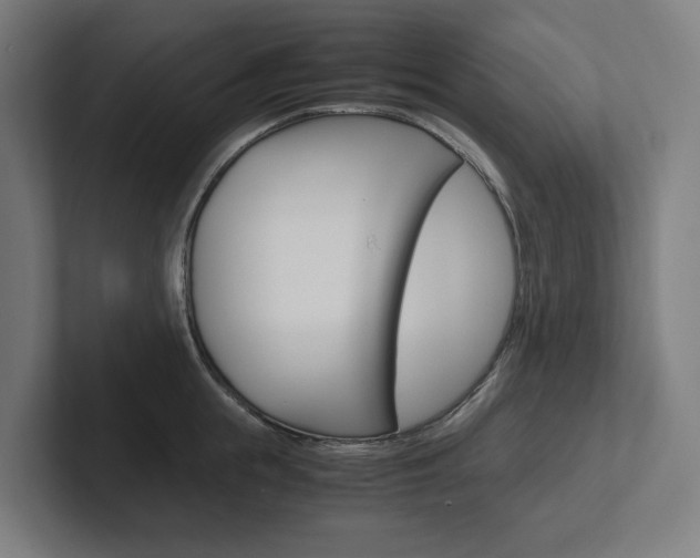 X0000102380855200808010913