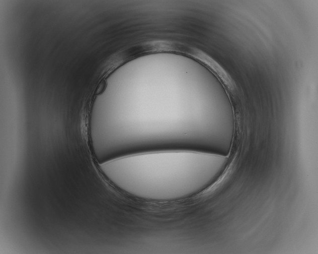 X0000102380857200808010913