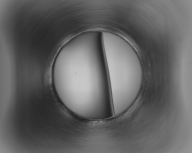 X0000102380858200808010913