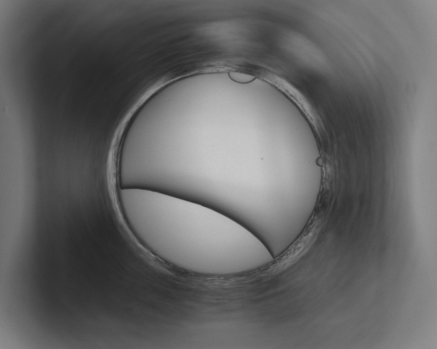 X0000102380859200808010913