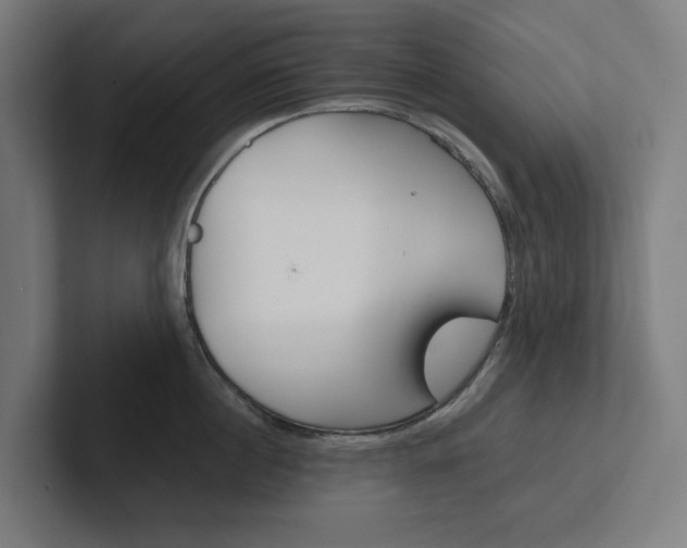 X0000102380860200808010913